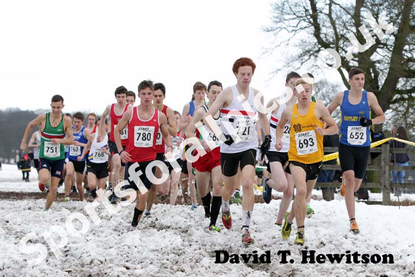 721 Toby Loveridge (Liverpool Pembroke) and 693 Thomas Traviss-Pollard (Holmfirth Harriers) soon after the start of the junior mens Northern Cross Country Championships.